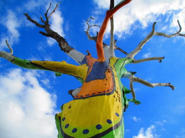 Photo by Symanntha Renn