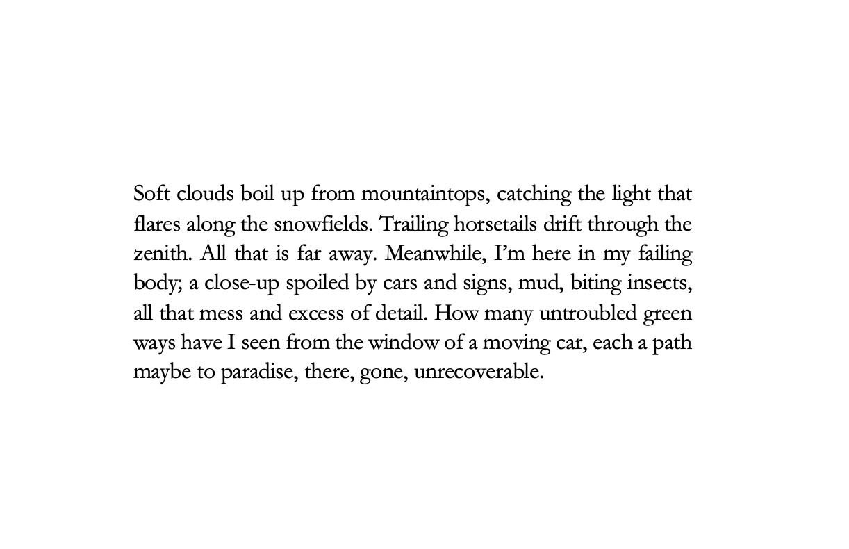 Text image poem. Accessible text will follow Author Biography.